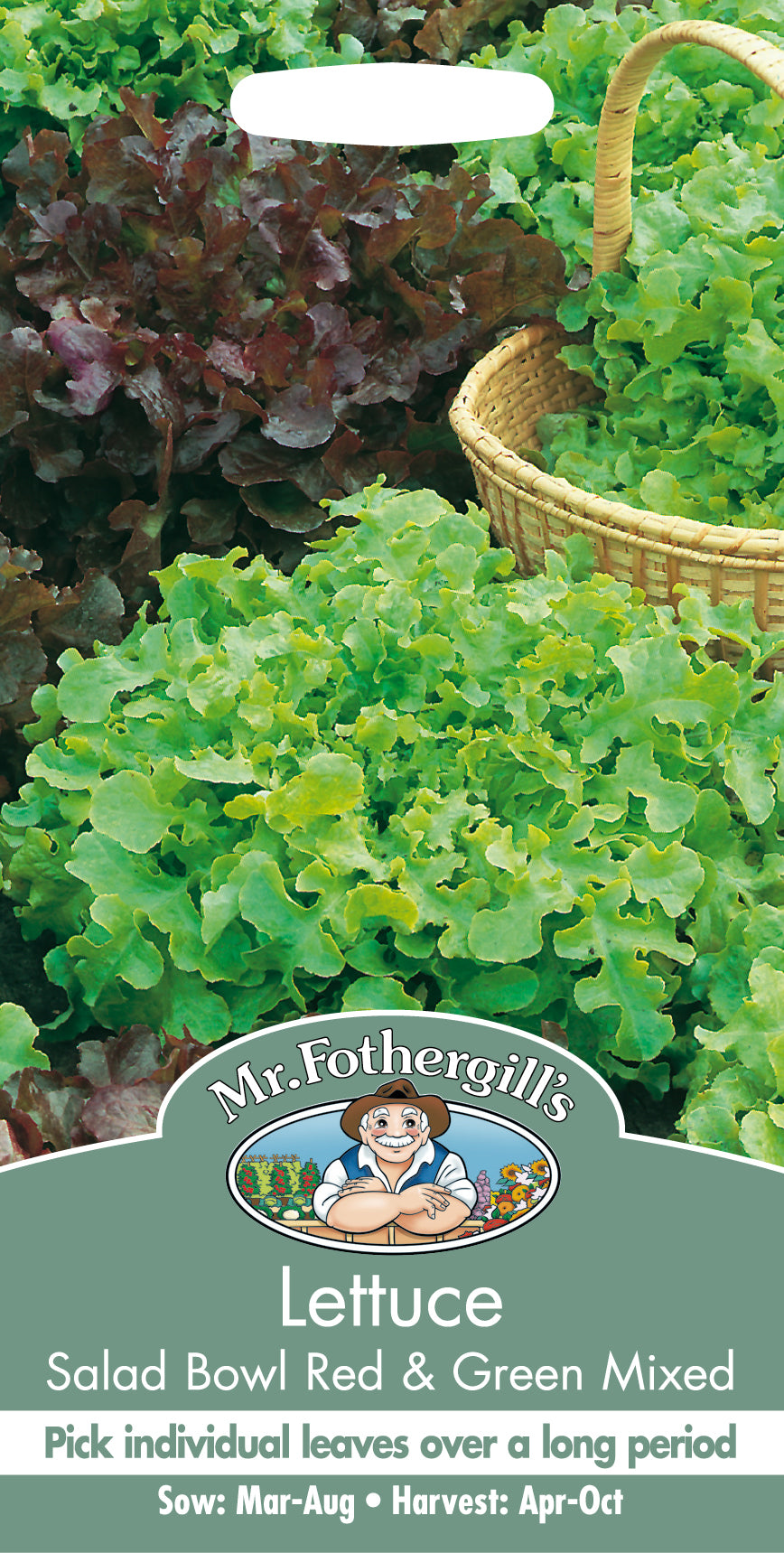Lettuce Salad Bowl Red & Green Mixed 1250 Seeds