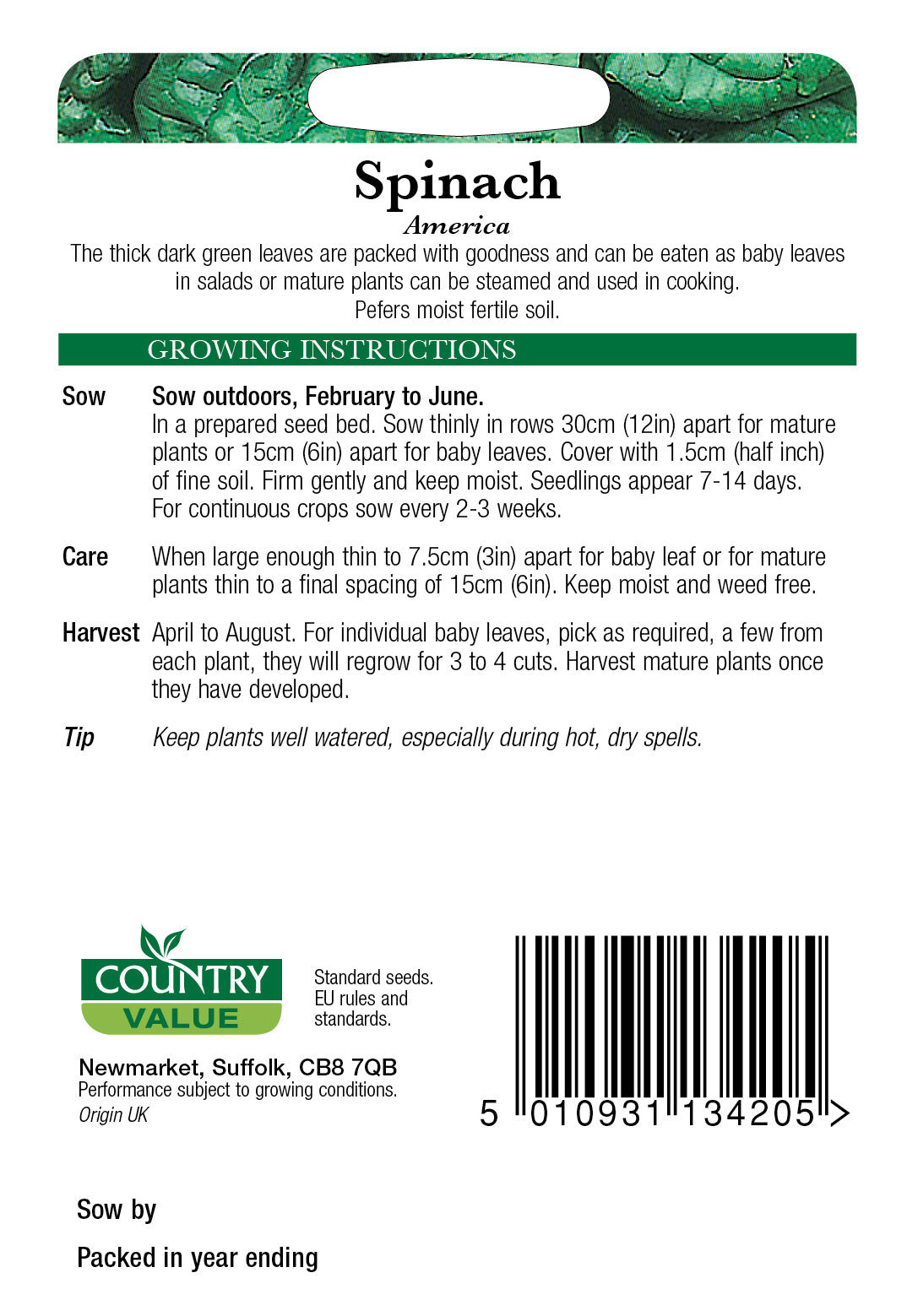 Spinach America 200 Seeds