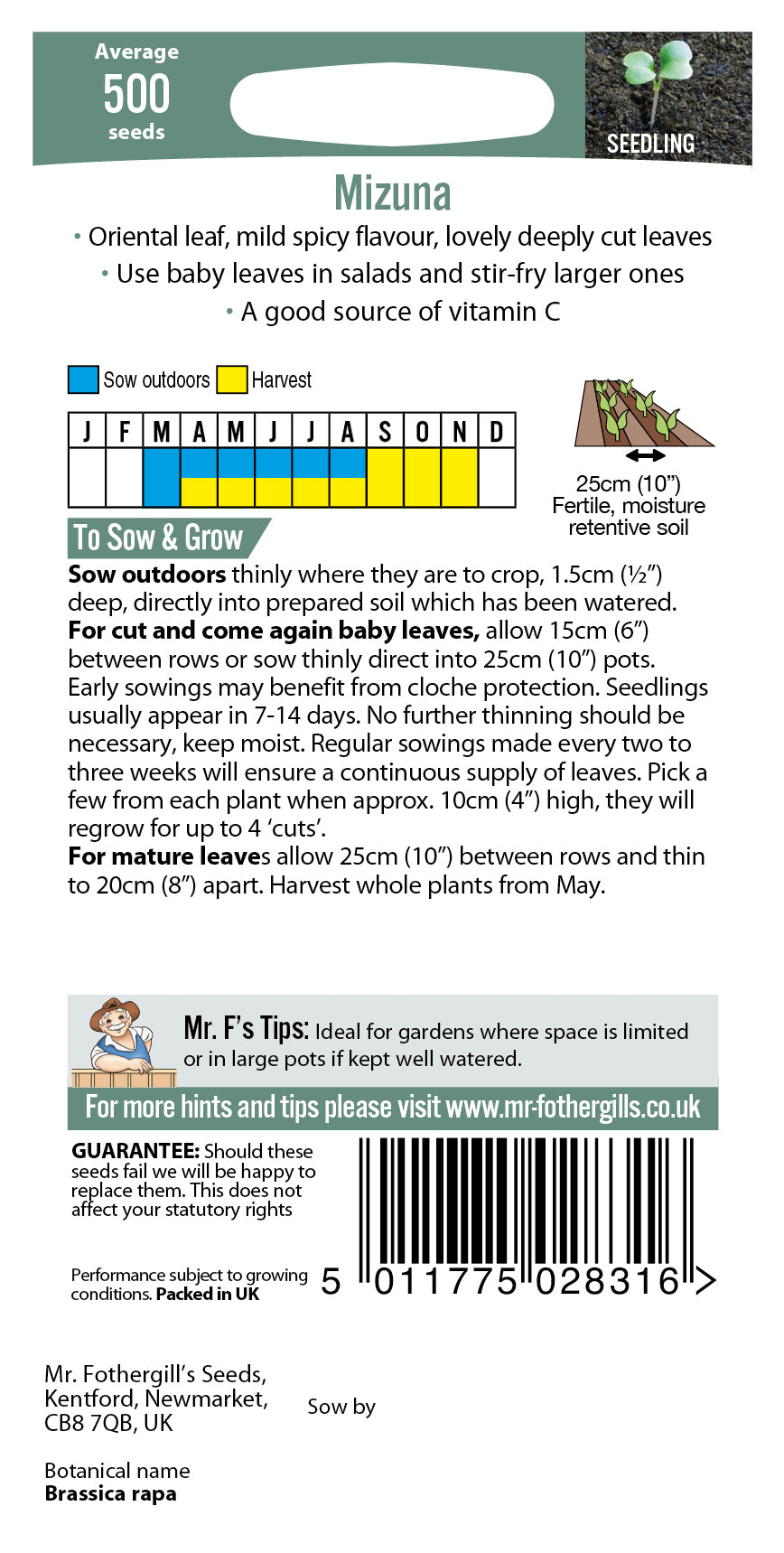 Mizuna 500 Seeds