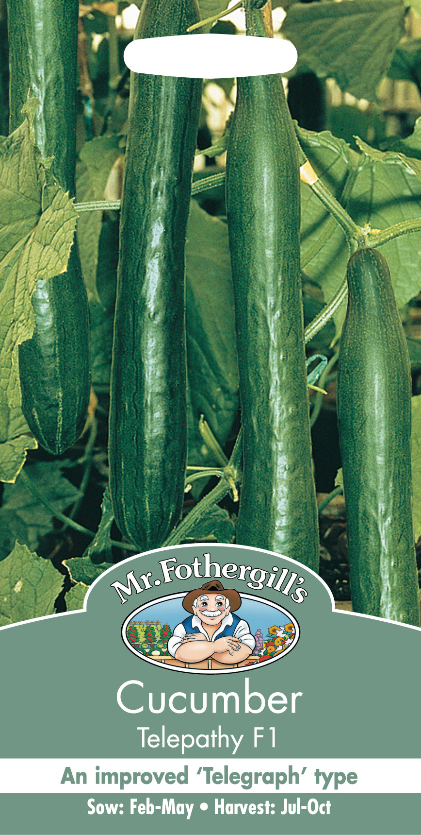 Cucumber Telepathy F1 10 Seeds - Mr Fothergills