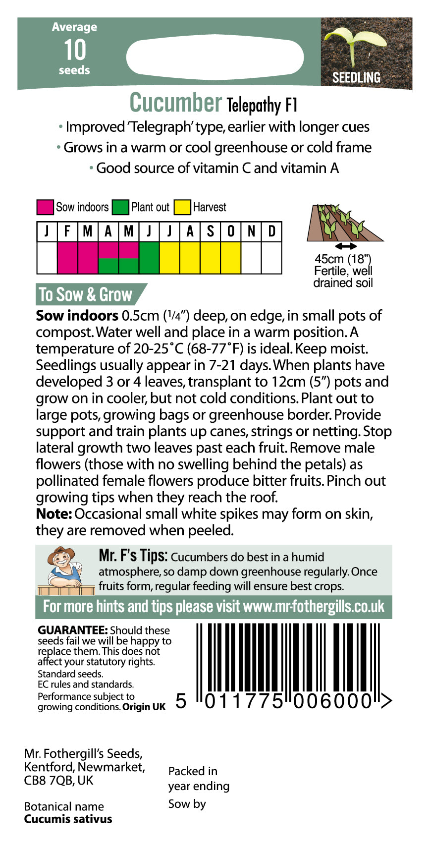Cucumber Telepathy F1 10 Seeds - Mr Fothergills