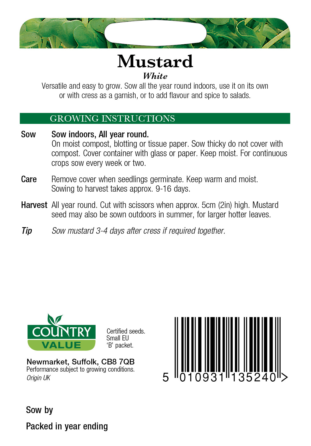 Mustard White 1200 Seeds