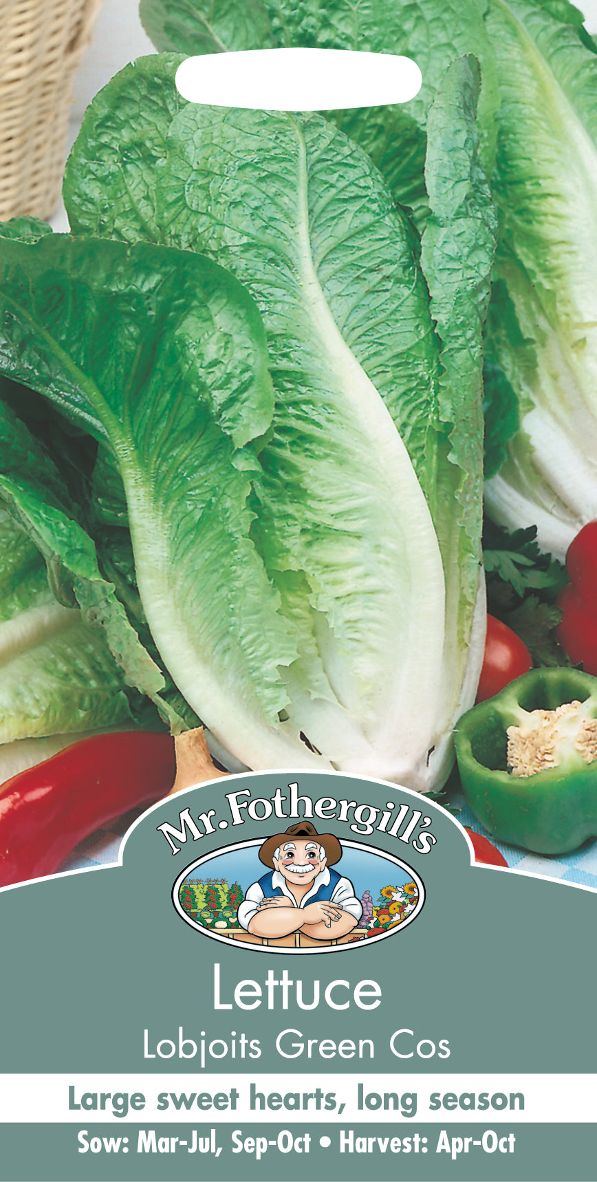 Lettuce Lobjoits Green Cos 1250 Seeds