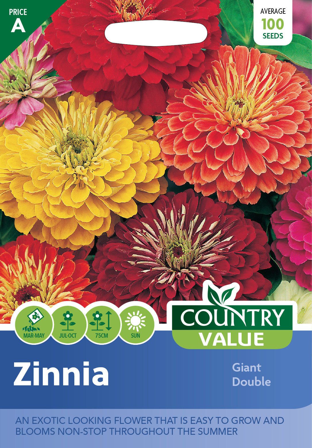 Zinnia Giant Double 100 Seeds