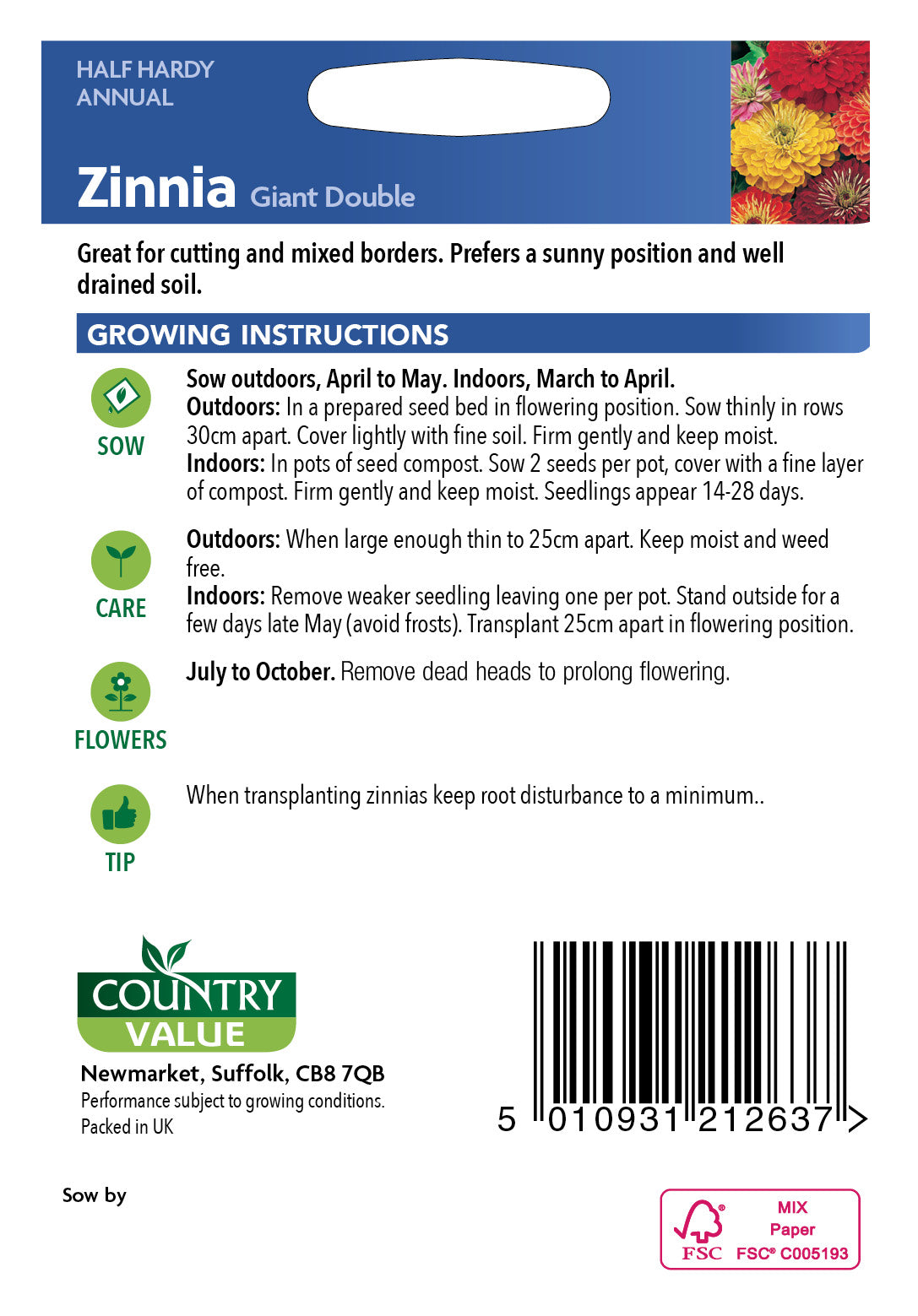 Zinnia Giant Double 100 Seeds