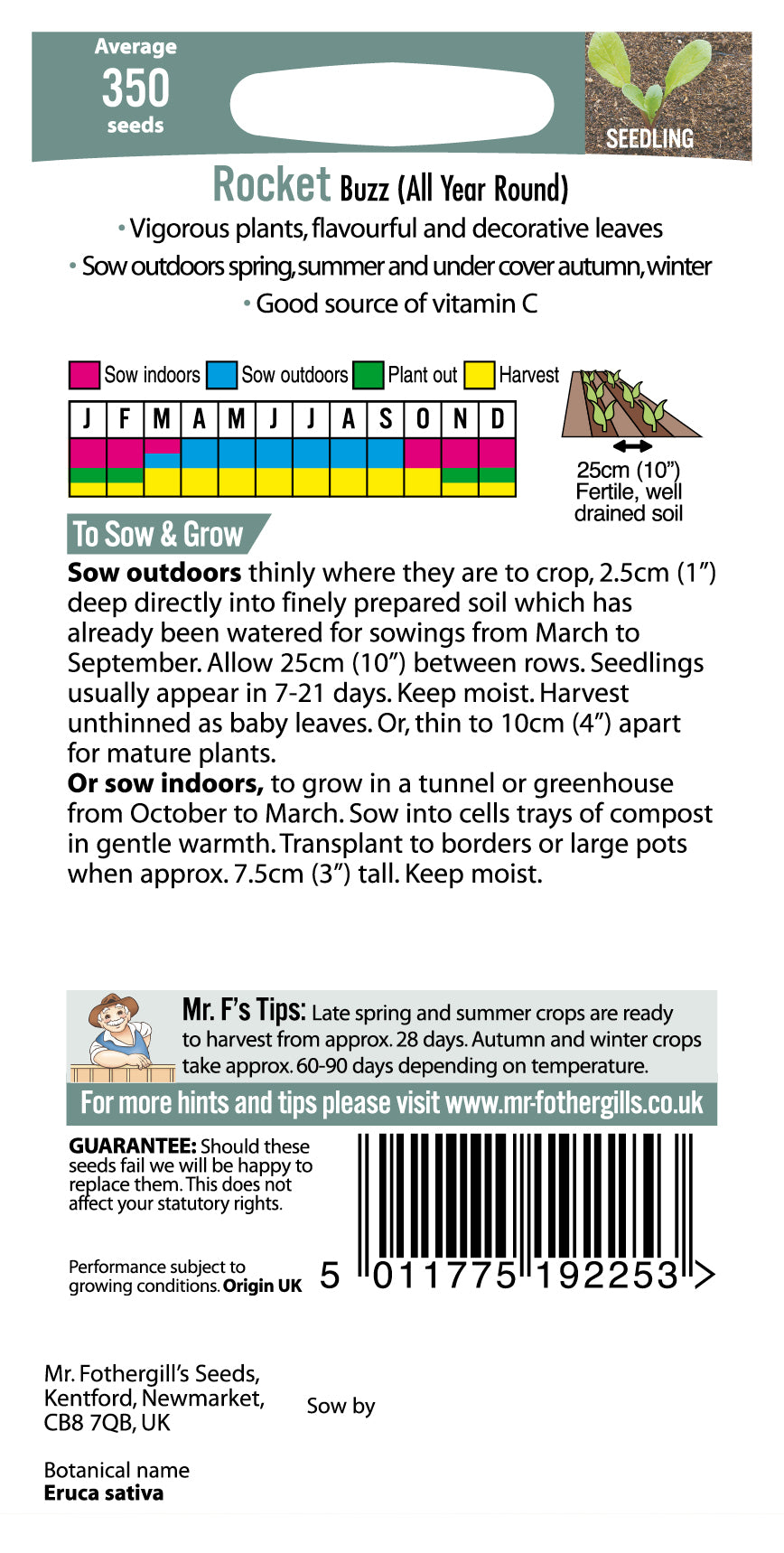 Rocket Buzz (All year round) 350 Seeds