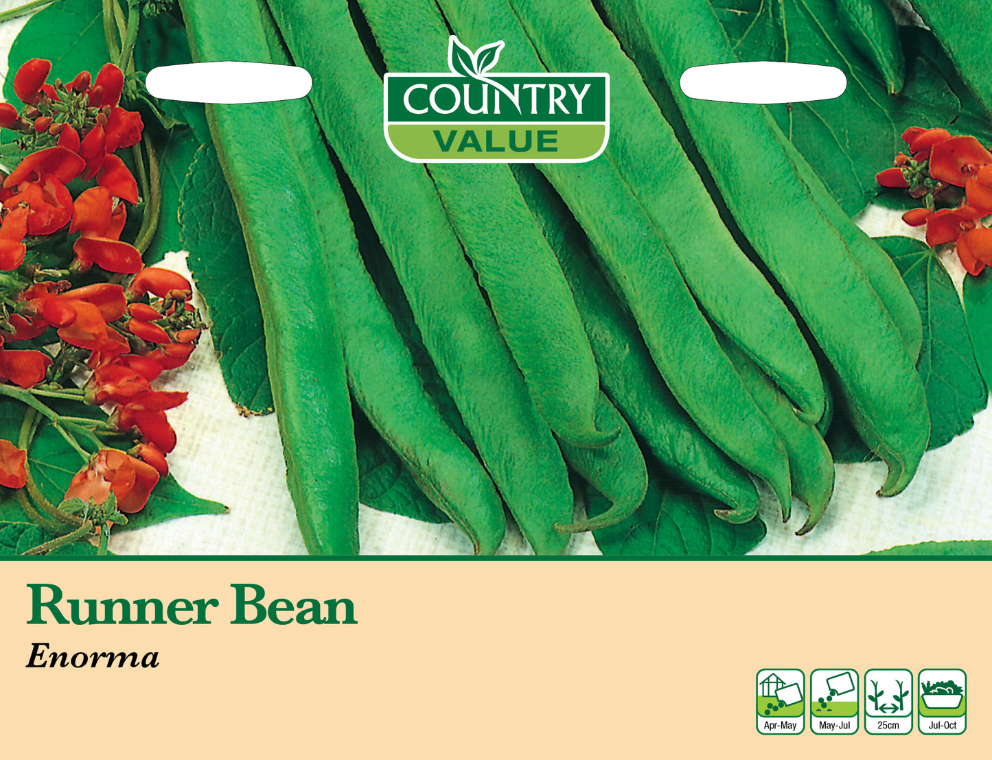 Runner Bean Enorma 25 Seeds