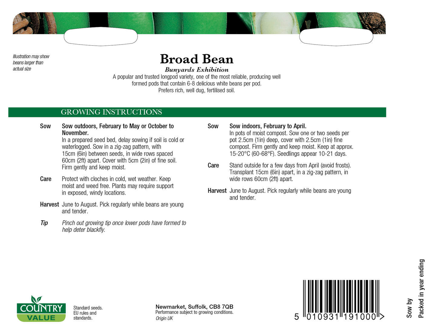 Broad Bean Bunyards Exhibition 25 Seeds