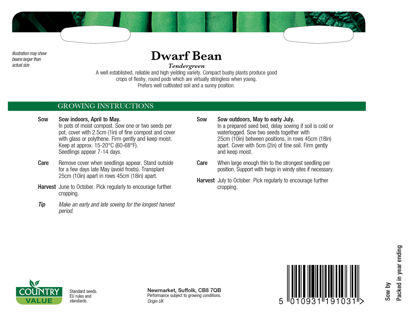 Dwarf Bean Tendergreen 50 Seeds
