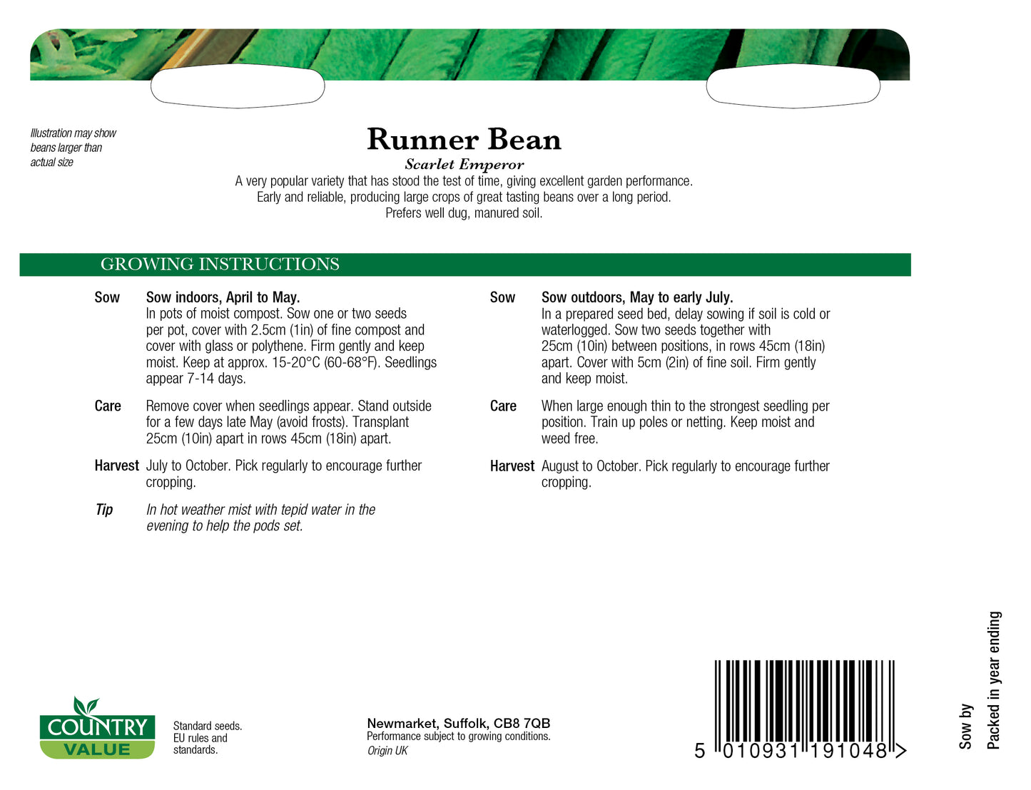 Runner Bean Scarlet Emperor 25 Seeds