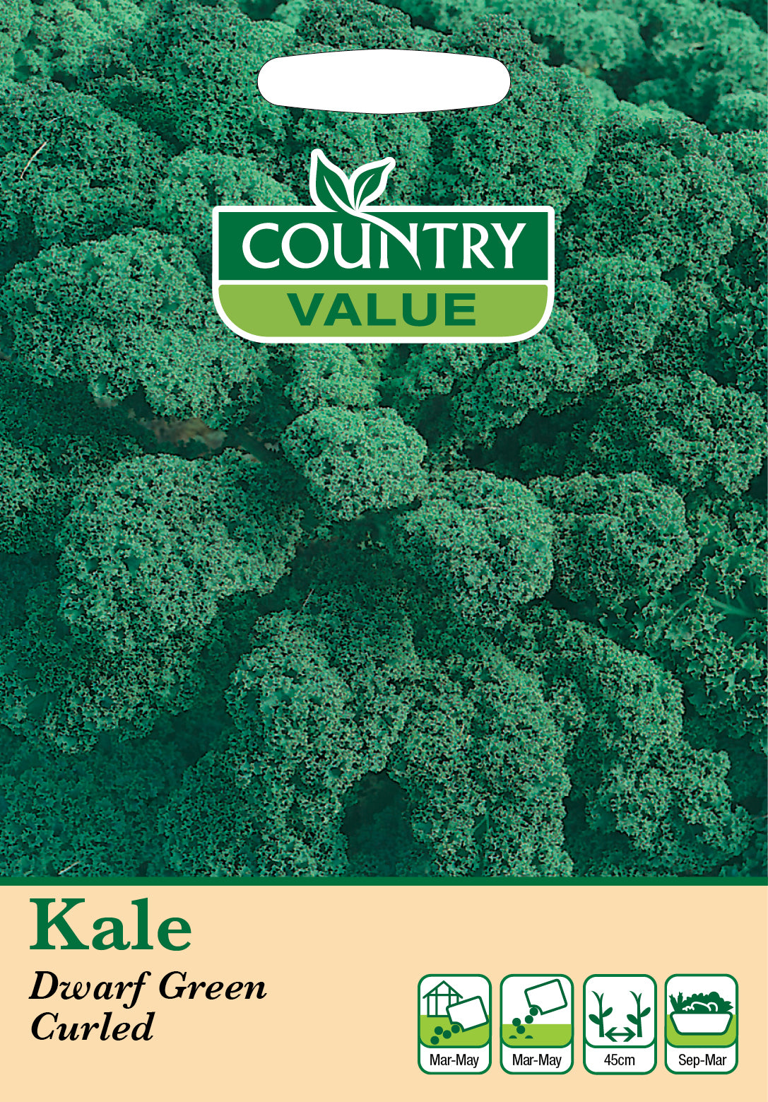Kale Dwarf Green Curled 300 Seeds