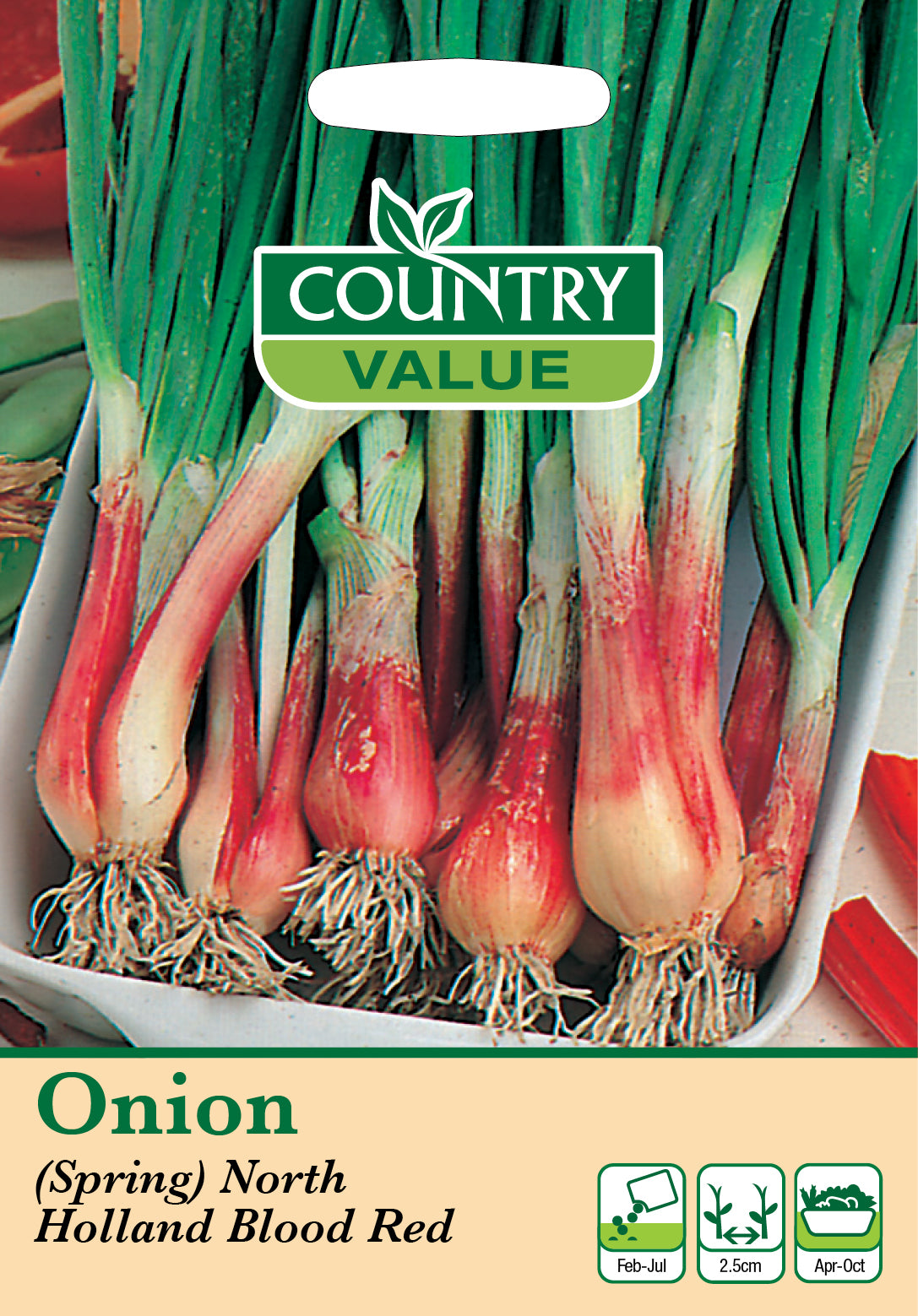 Spring Onion North Holland Blood Red 250 Seeds