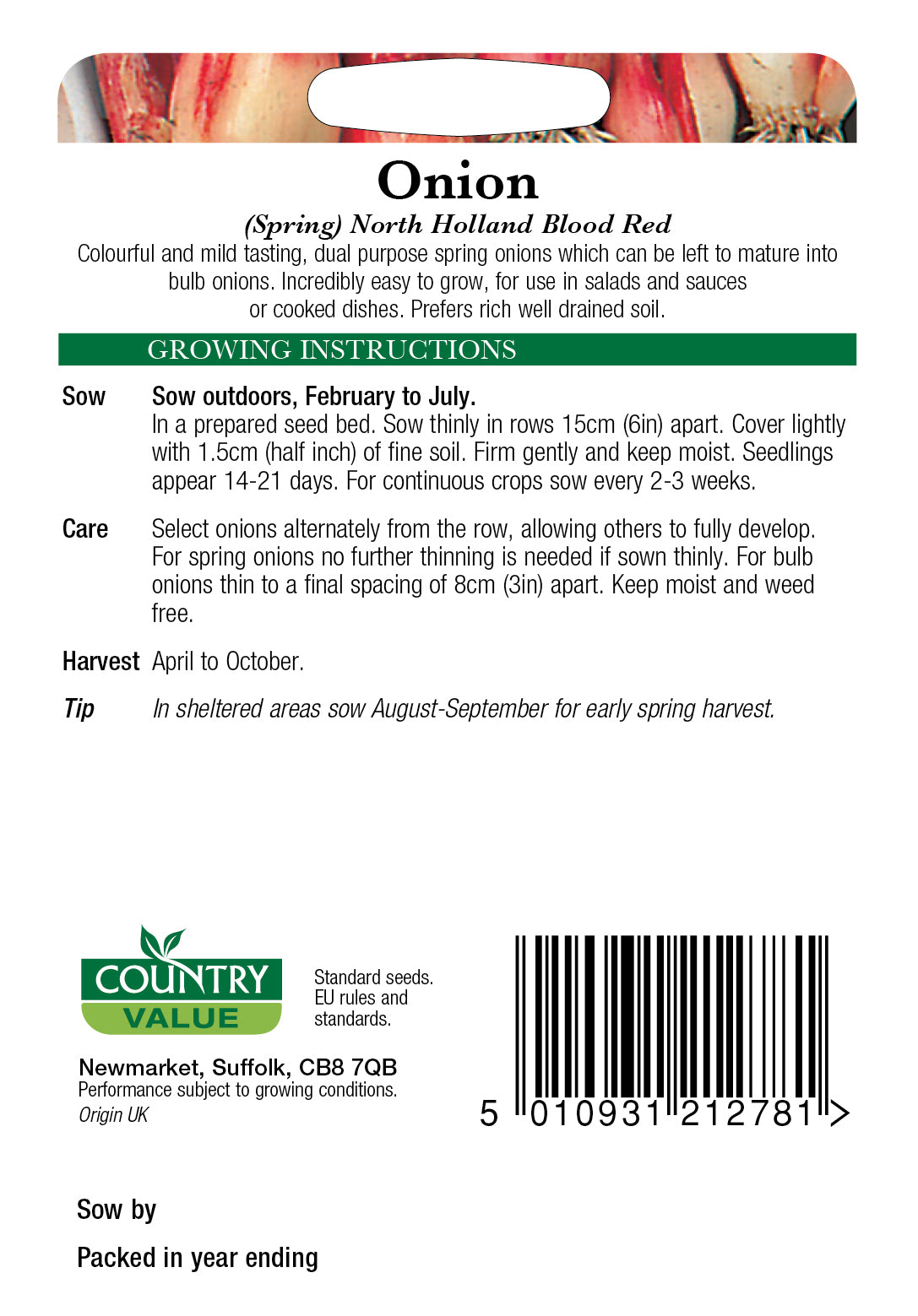 Spring Onion North Holland Blood Red 250 Seeds