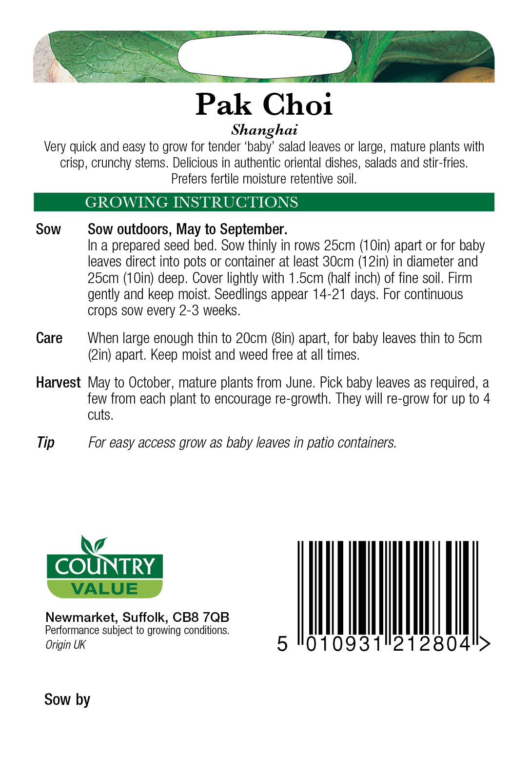 Pak Choi Shanghai 200 Seeds