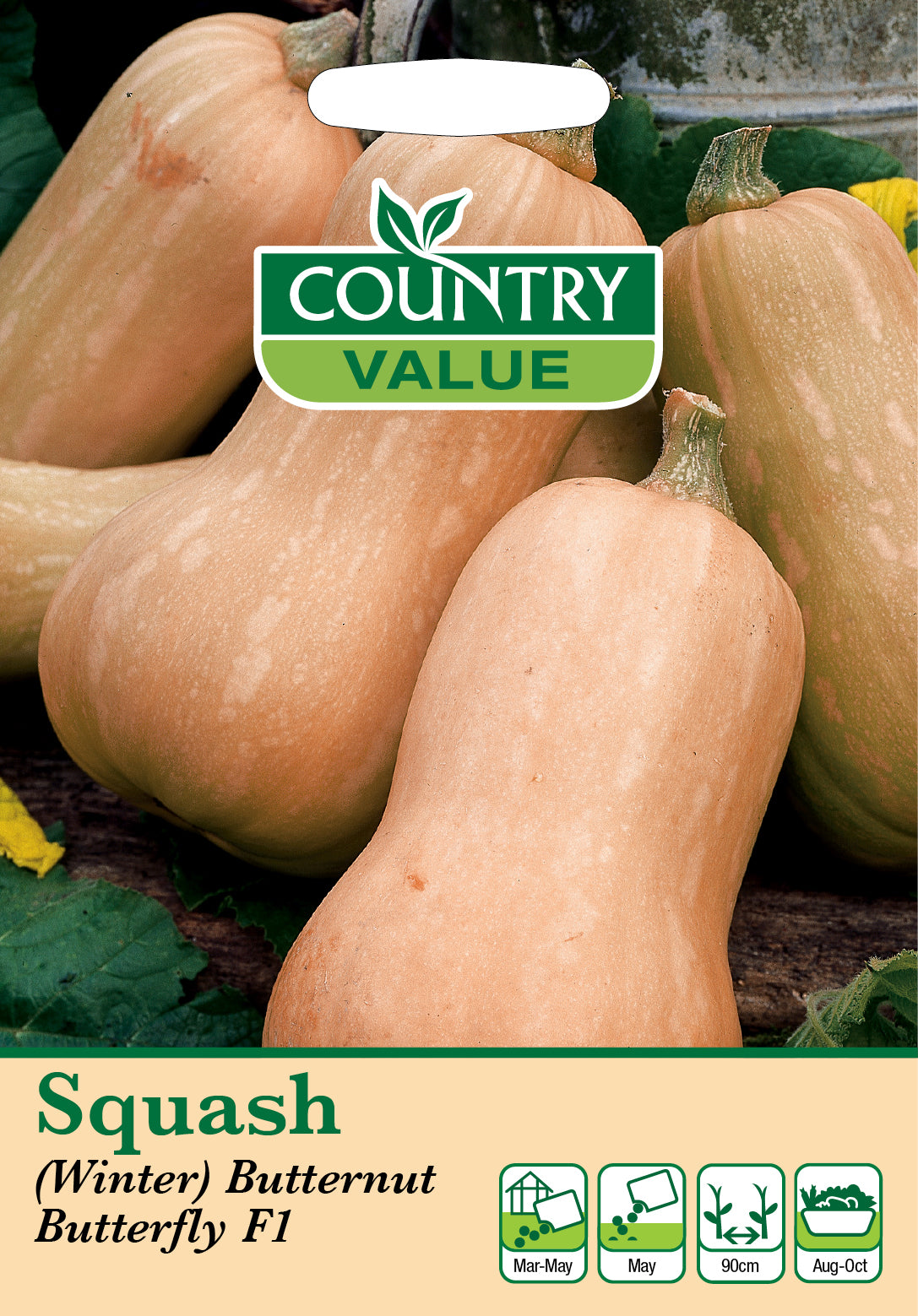 Butternut Squash (Winter) Butterfly F1 8 Seeds