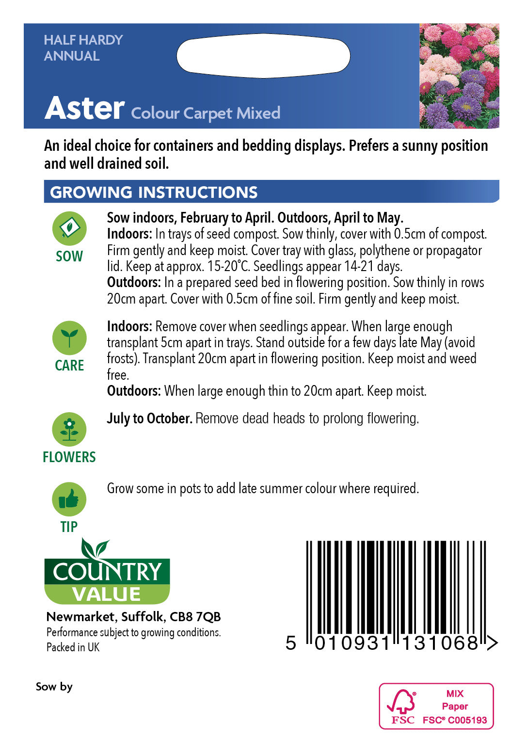 Aster Colour Carpet Mixed 200 Seeds