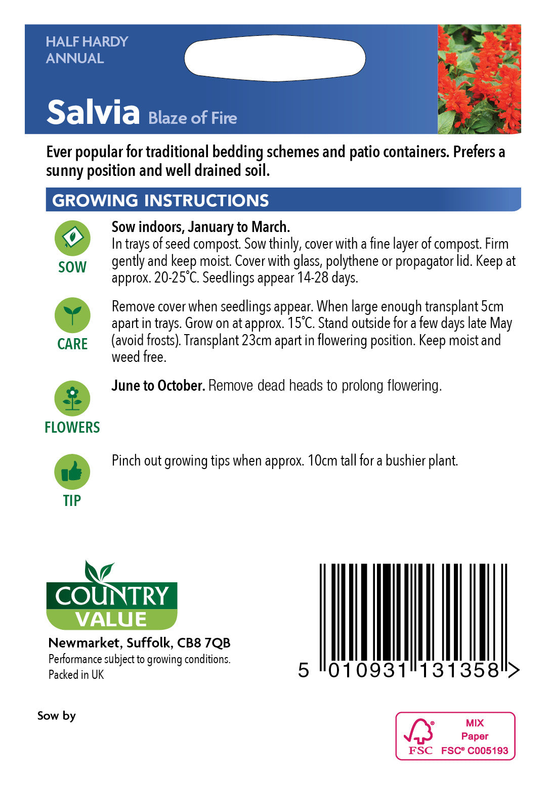 Salvia Blaze Of Fire 60 Seeds