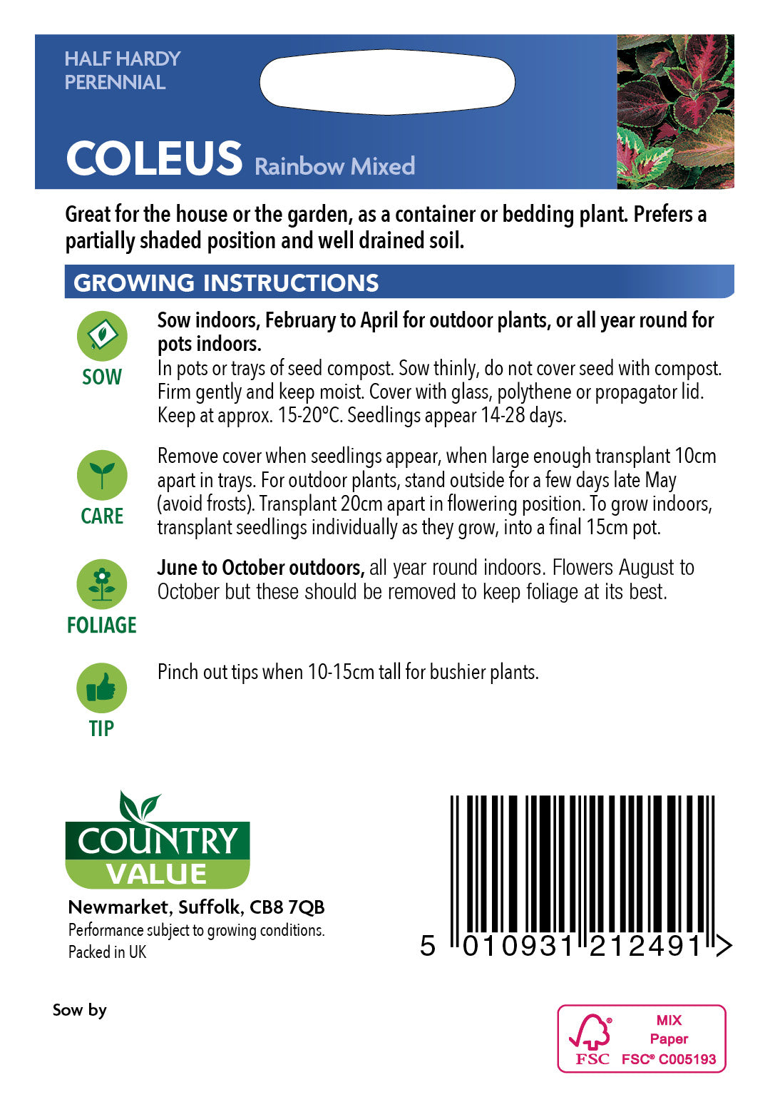 Coleus Rainbow Mixed 60 Seeds