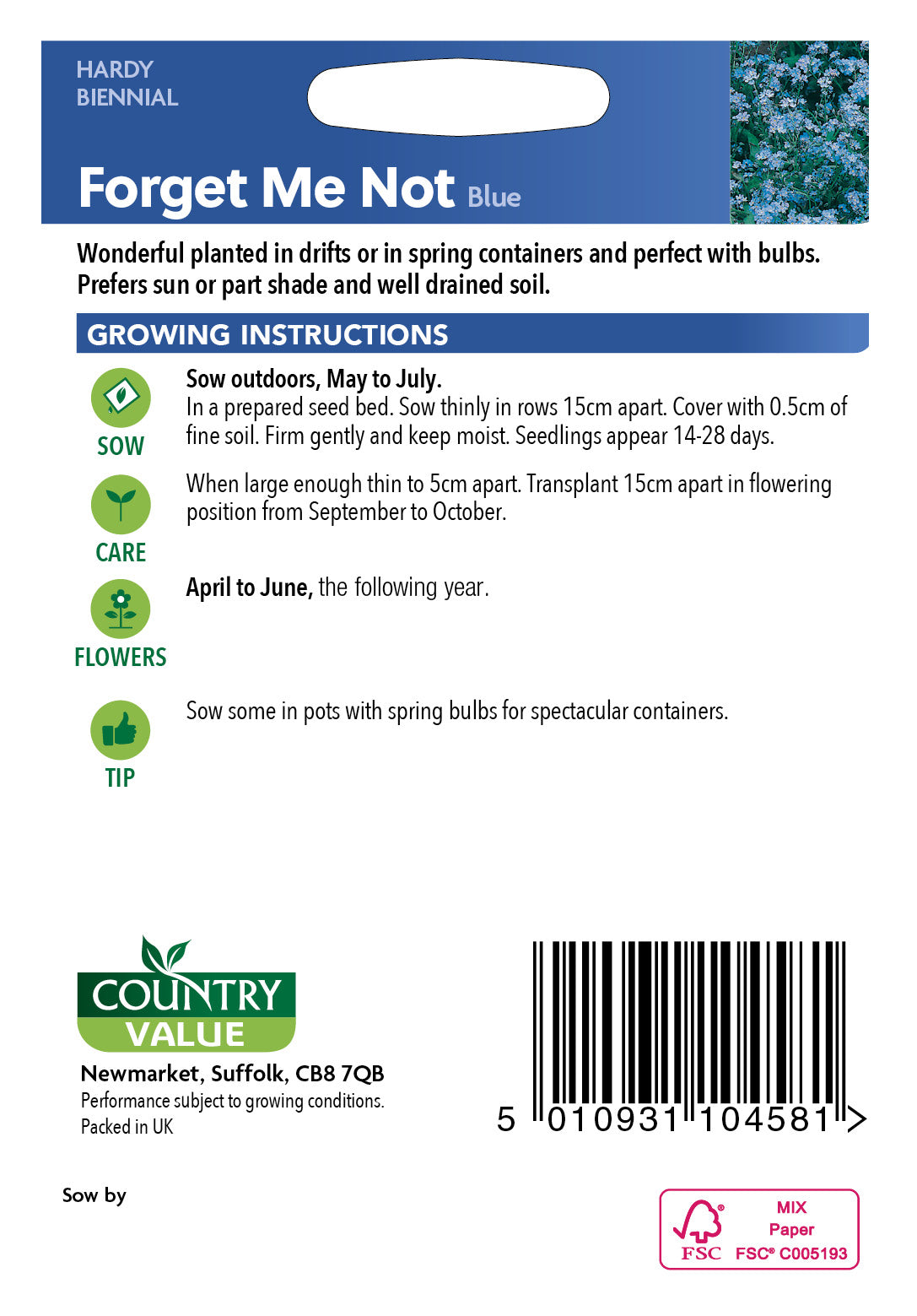 Forget Me Not Blue 200 Seeds