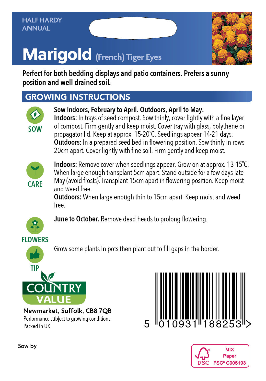 Marigold (French) Tiger Eyes 50 Seeds