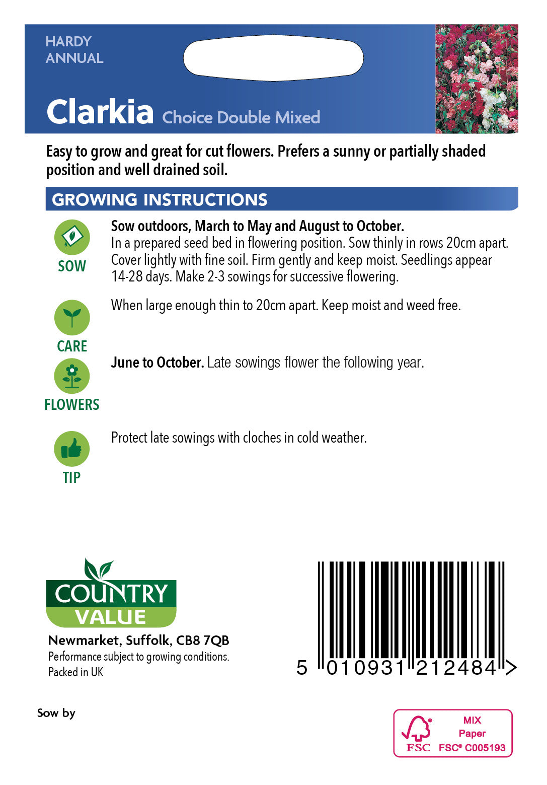 Clarkia Choice Double Mixed 1000 Seeds