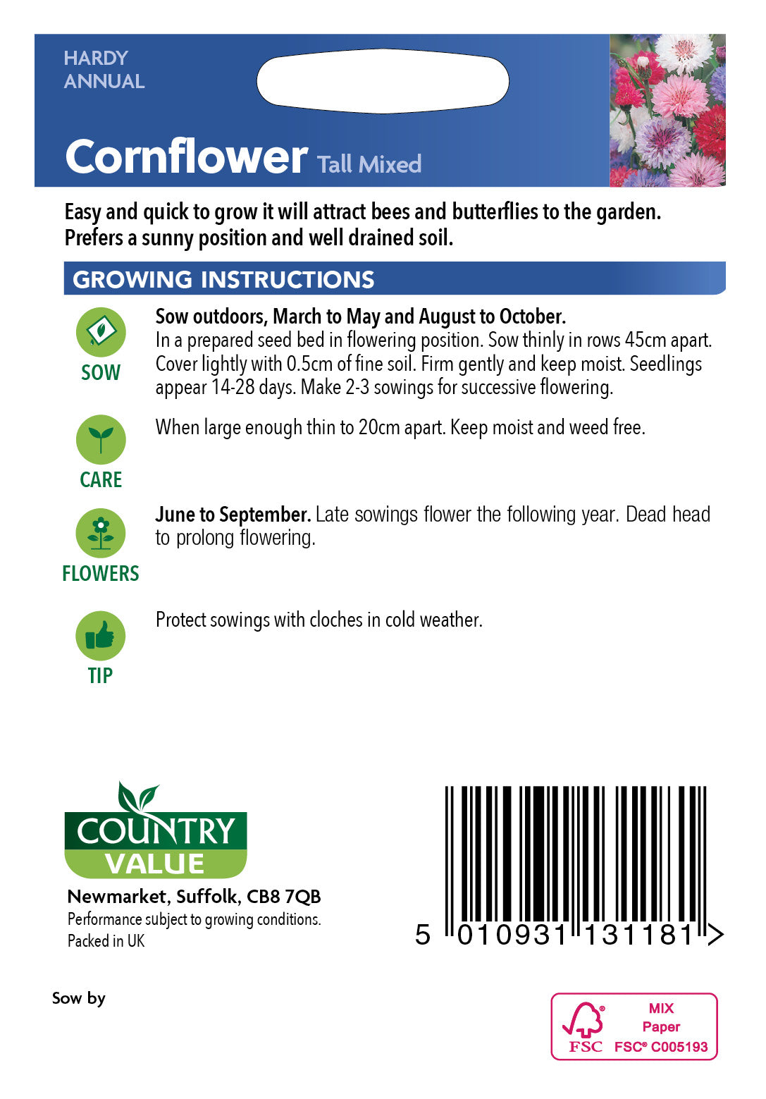 Cornflower Tall Mixed 200 Seeds