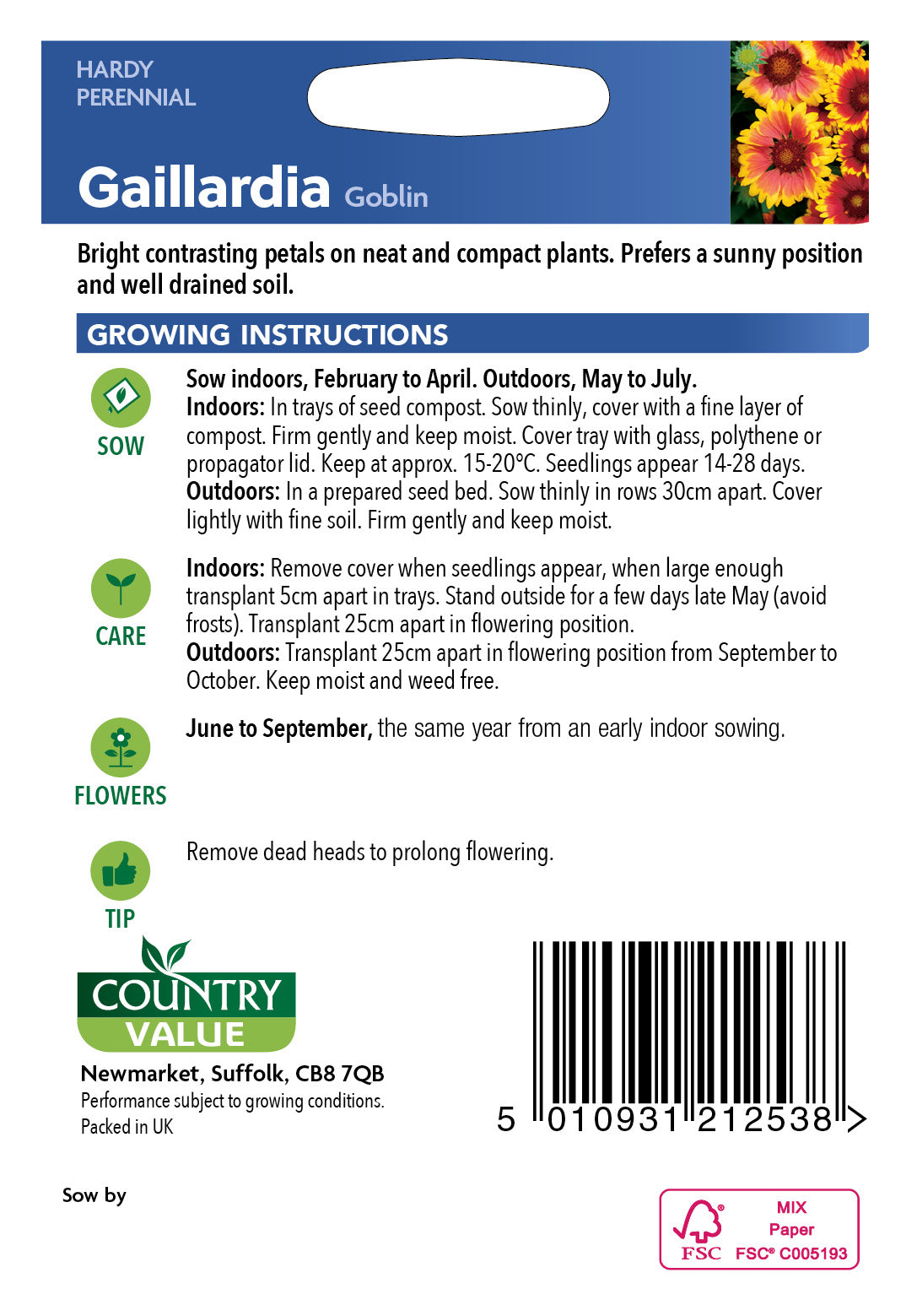 Gaillardia Goblin Seeds