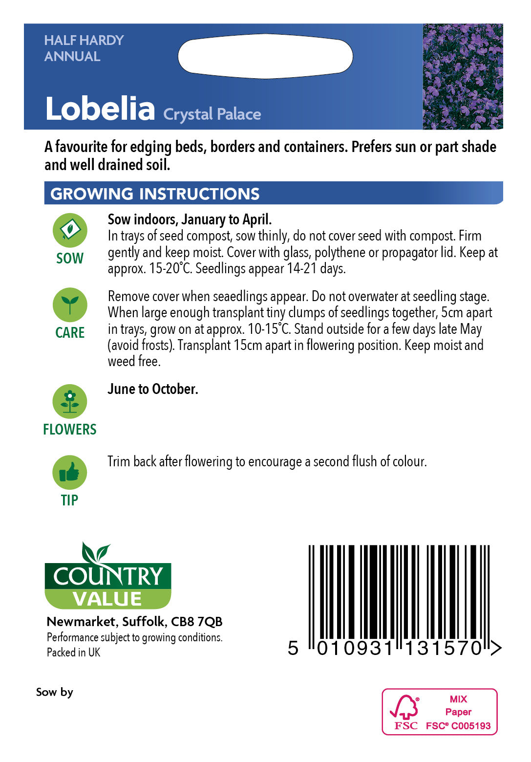 Lobelia Crystal Palace 2000 Seeds