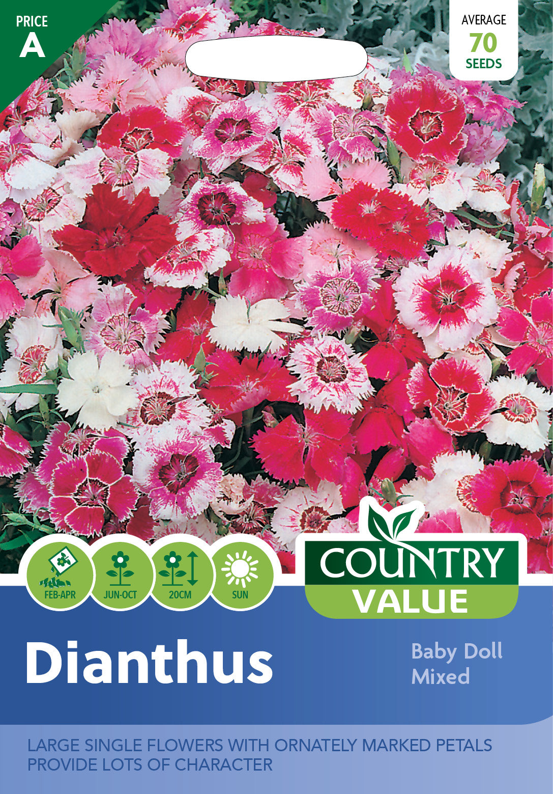 Dianthus Baby Doll Mixed 70 Seeds