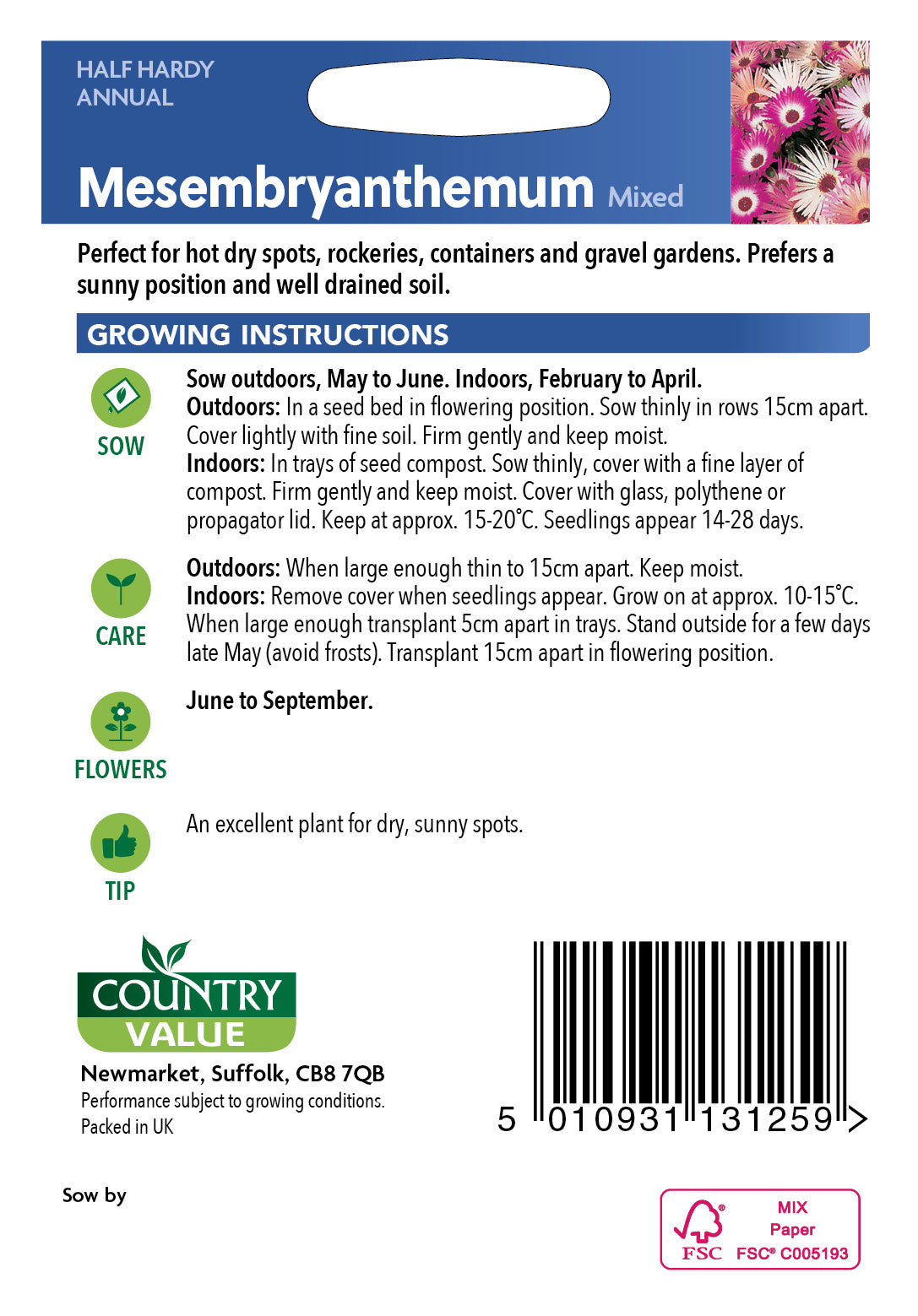 Mesembryanthemum Mixed 1500 Seeds