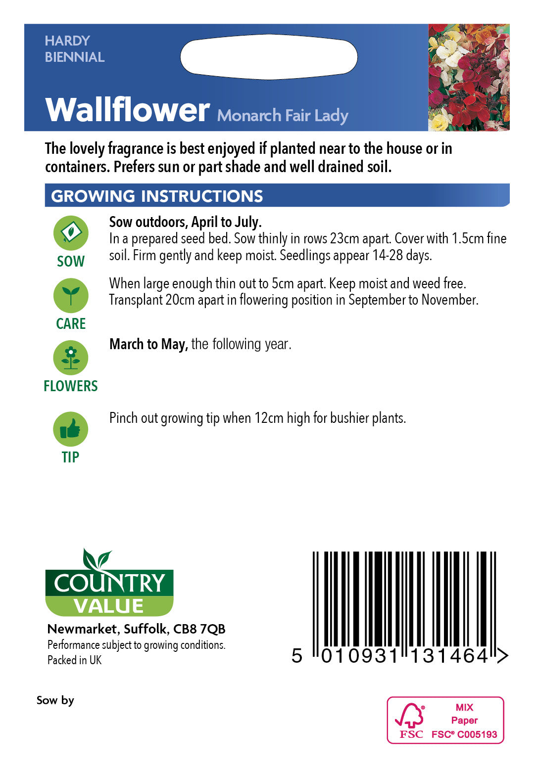 Wallflower Monarch Fair Lady 400 Seeds