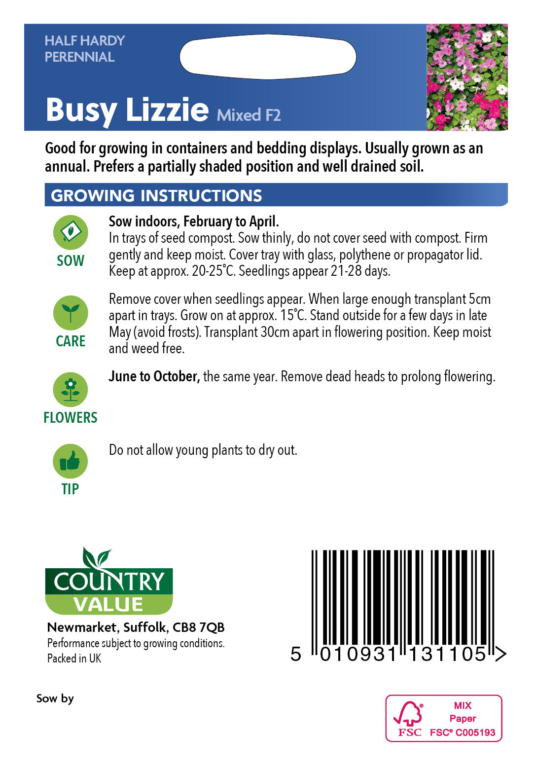 Busy Lizzie Mixed F2 45 Seeds