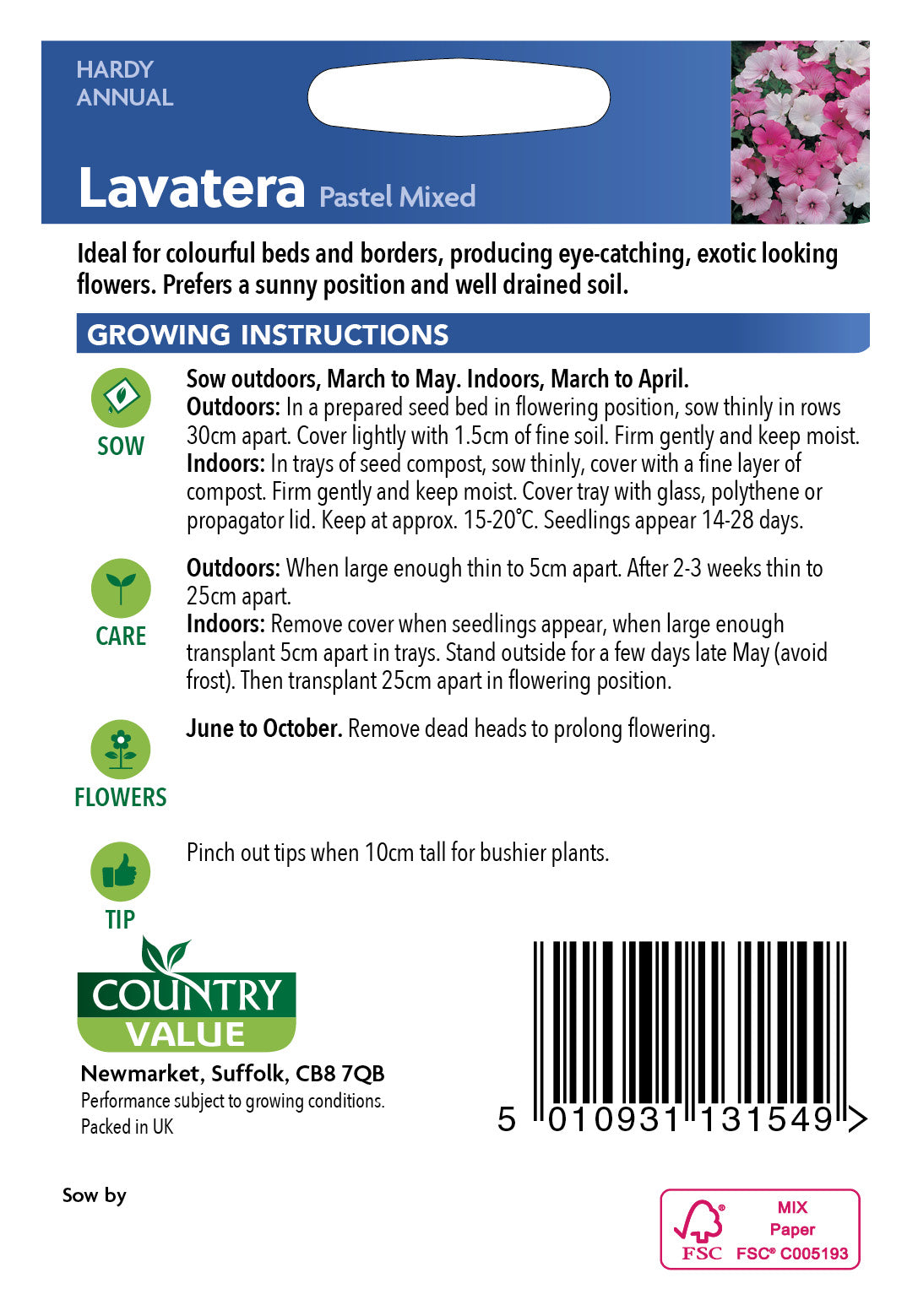 Lavatera Pastel Mixed 75 Seeds