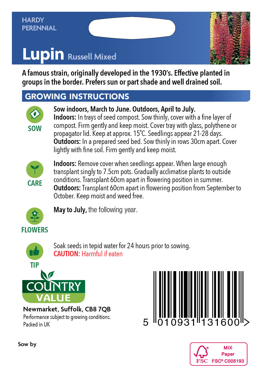 Lupin Russell Mixed 40 Seeds