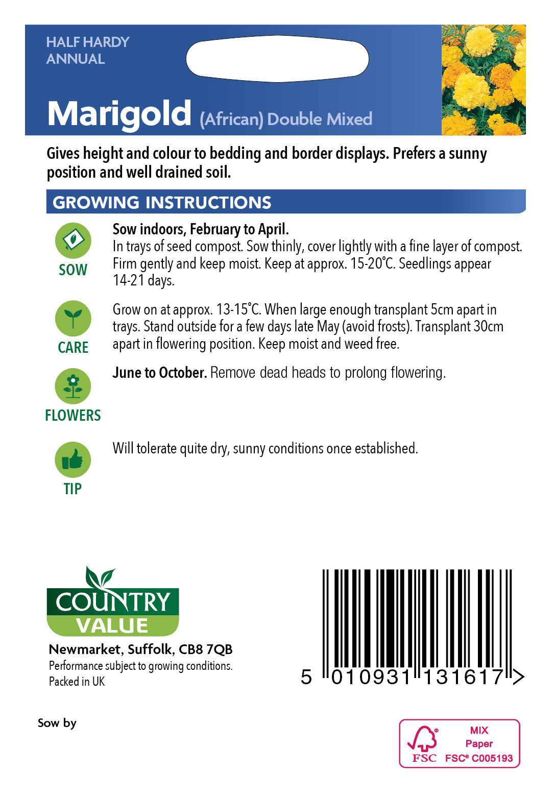 Marigold (African) Double Mixed 100 Seeds