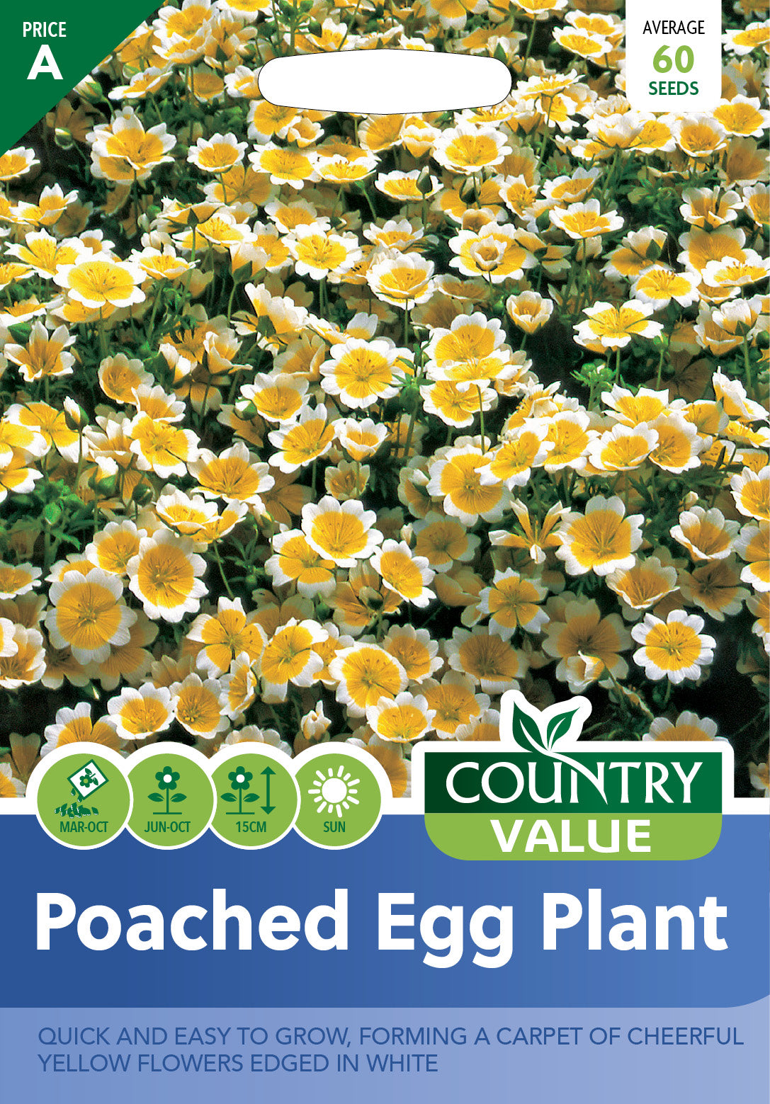 Poached Egg Plant 60 Seeds