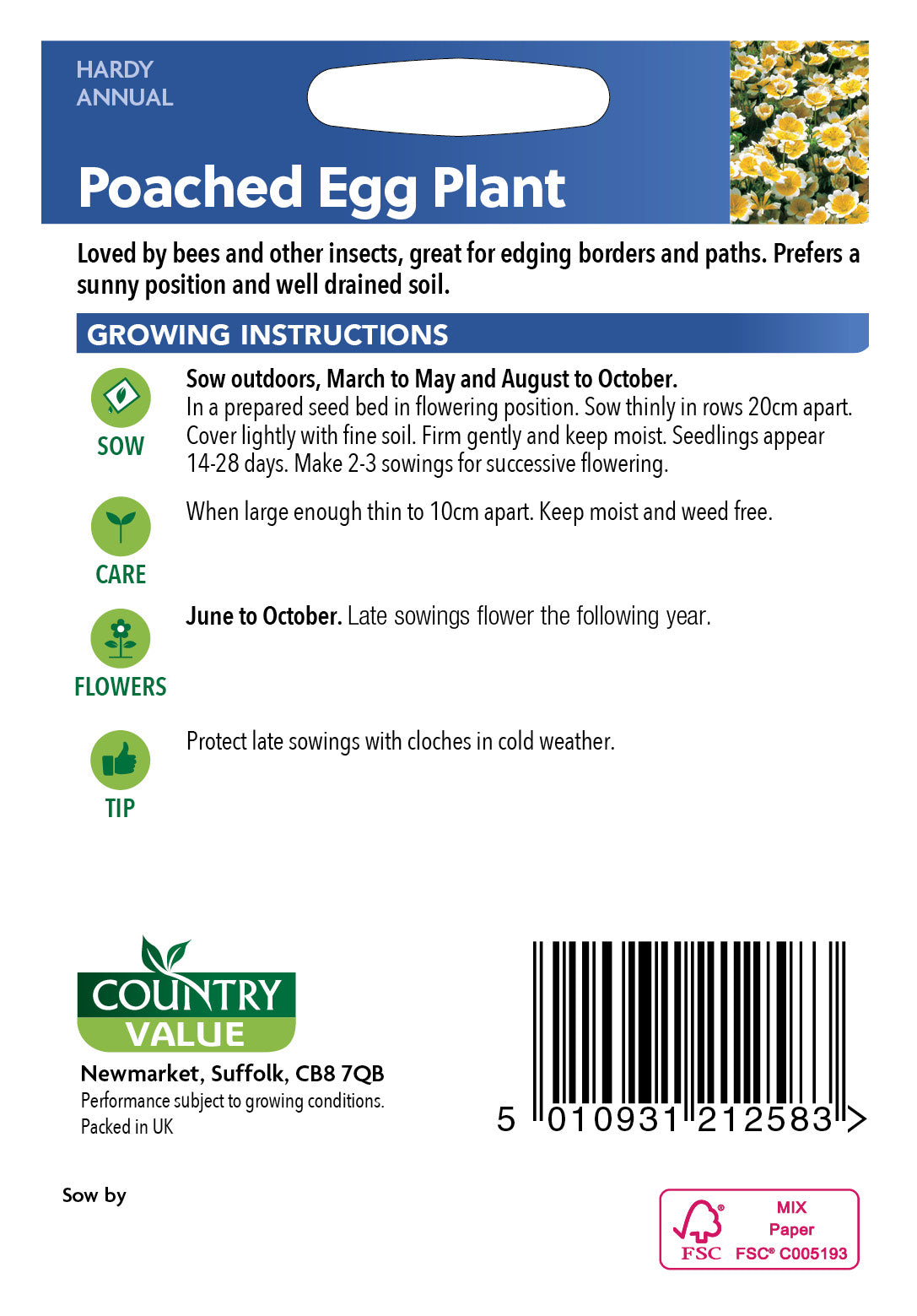 Poached Egg Plant 60 Seeds