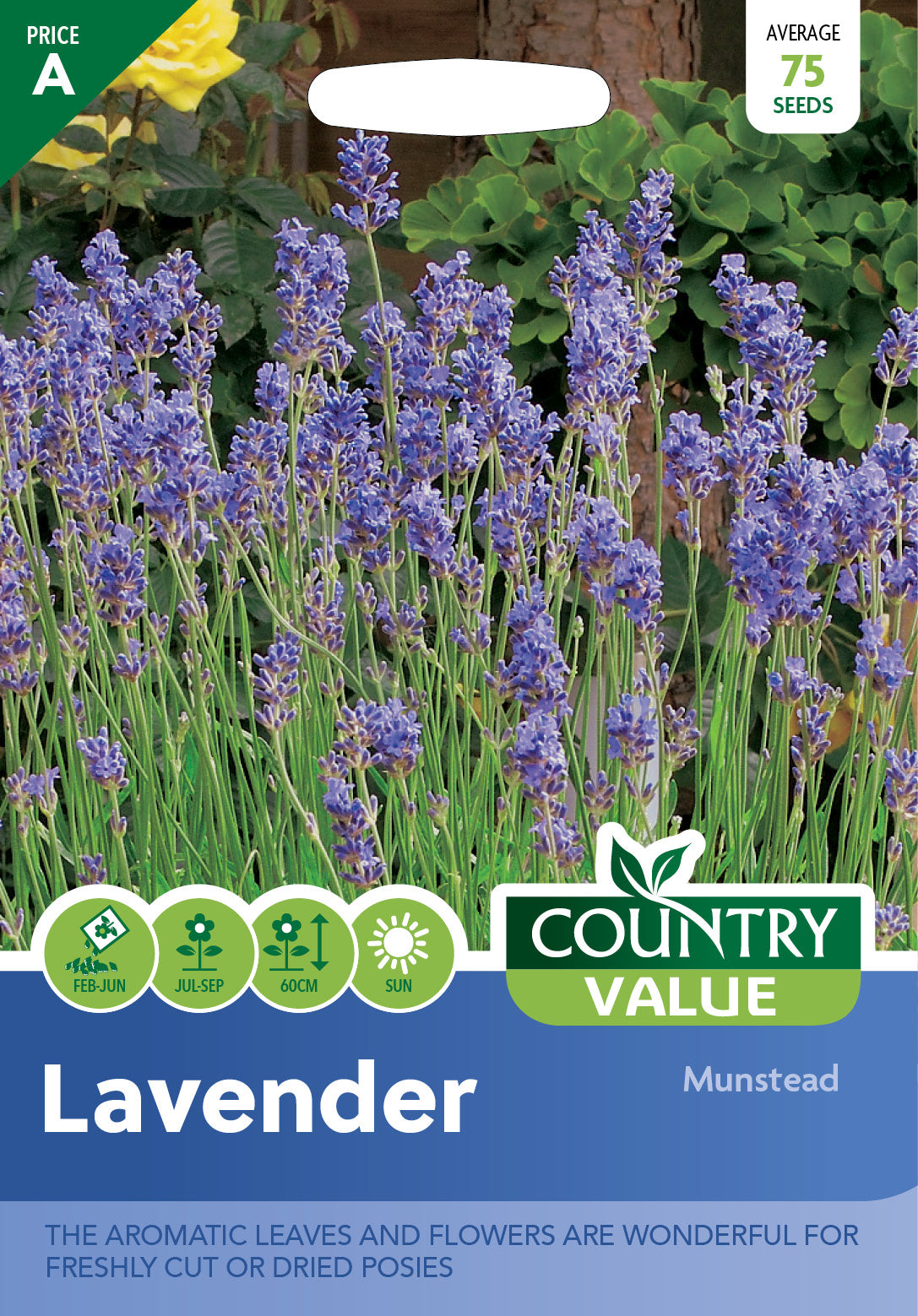 Lavender Munstead Strain 75 Seeds
