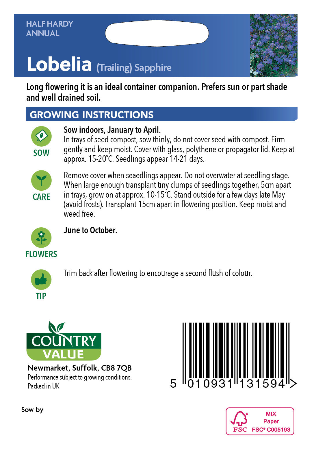 Lobelia (Trailing) Sapphire 1500 Seeds