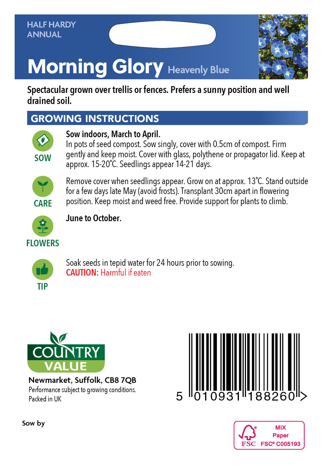 Morning Glory Heavenly Blue 30 Seeds