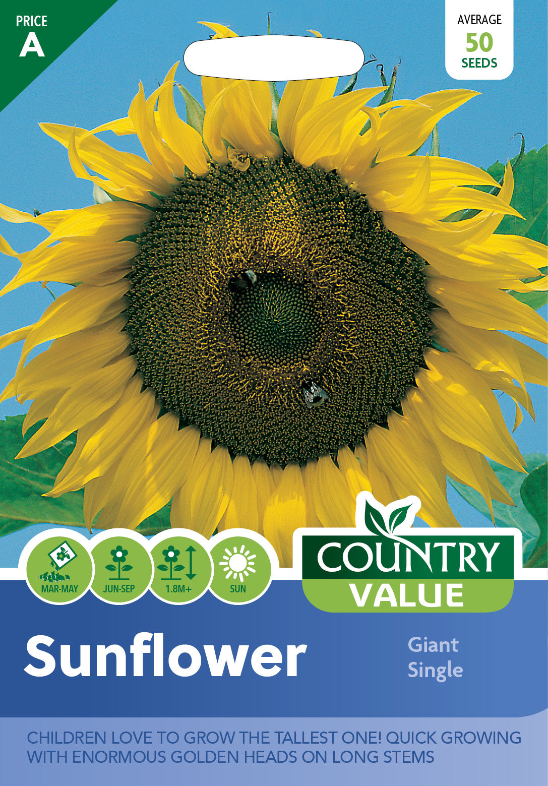 Sunflower Giant Single 50 Seeds