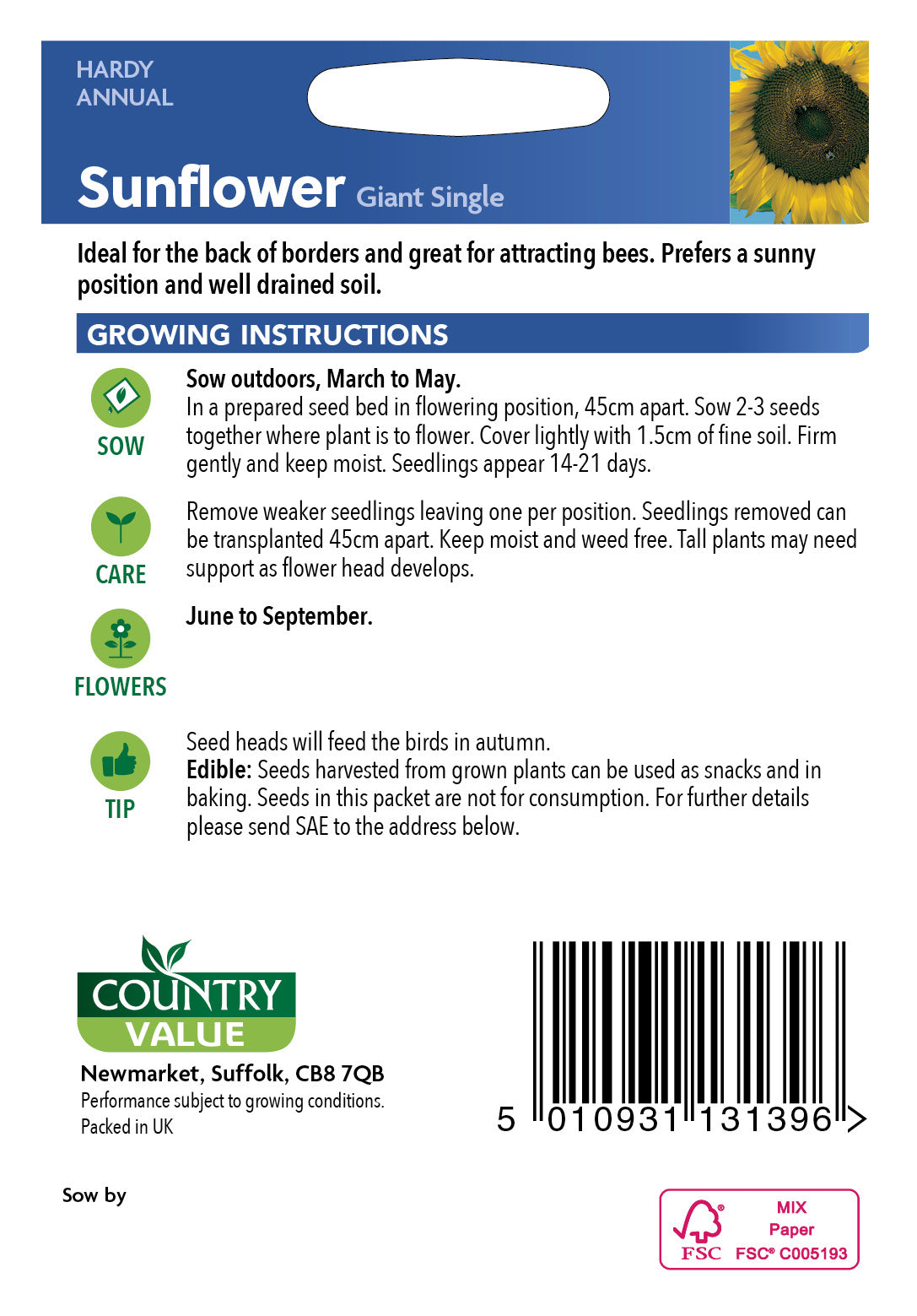 Sunflower Giant Single 50 Seeds