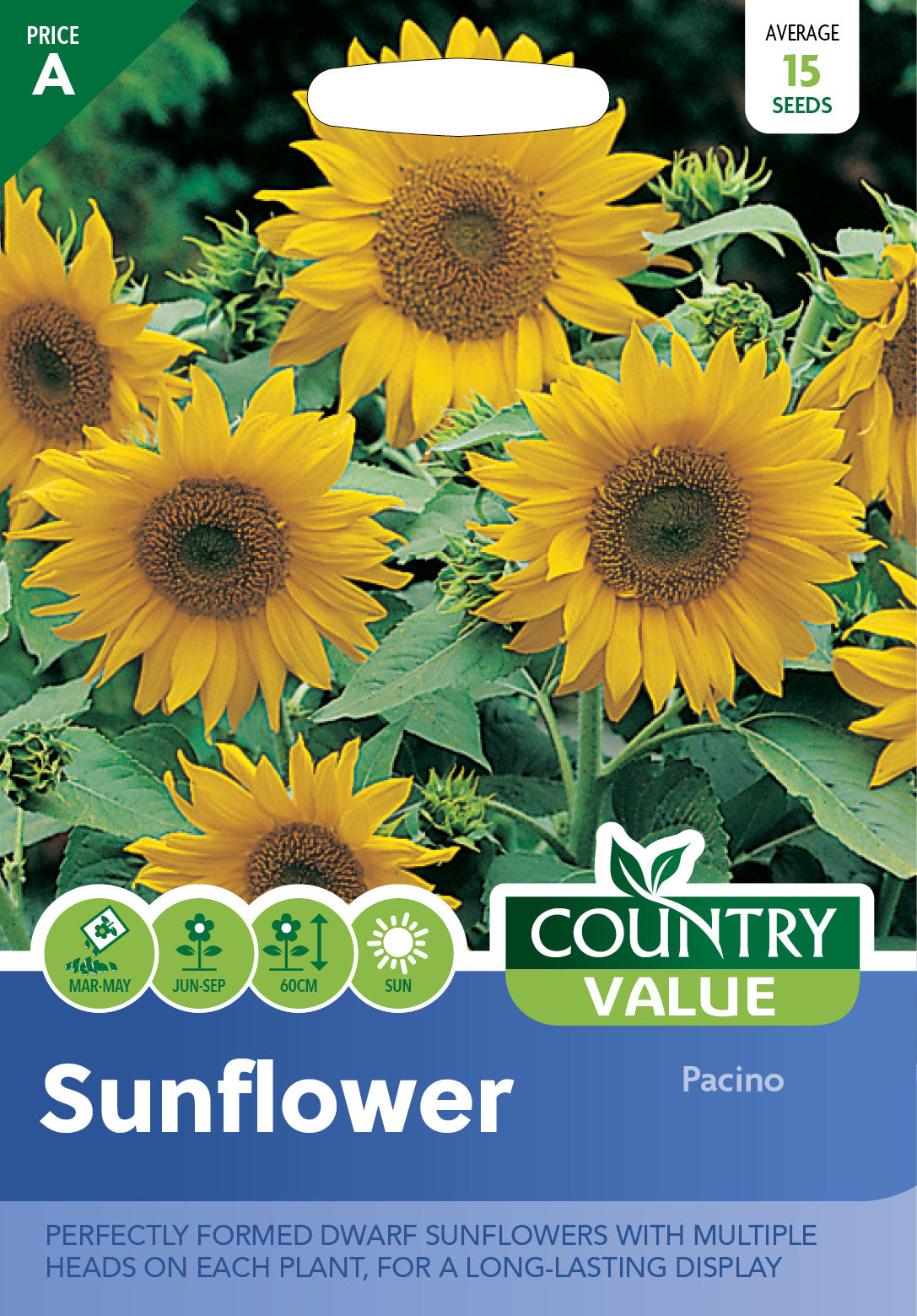 Sunflower Pacino 15 Seeds