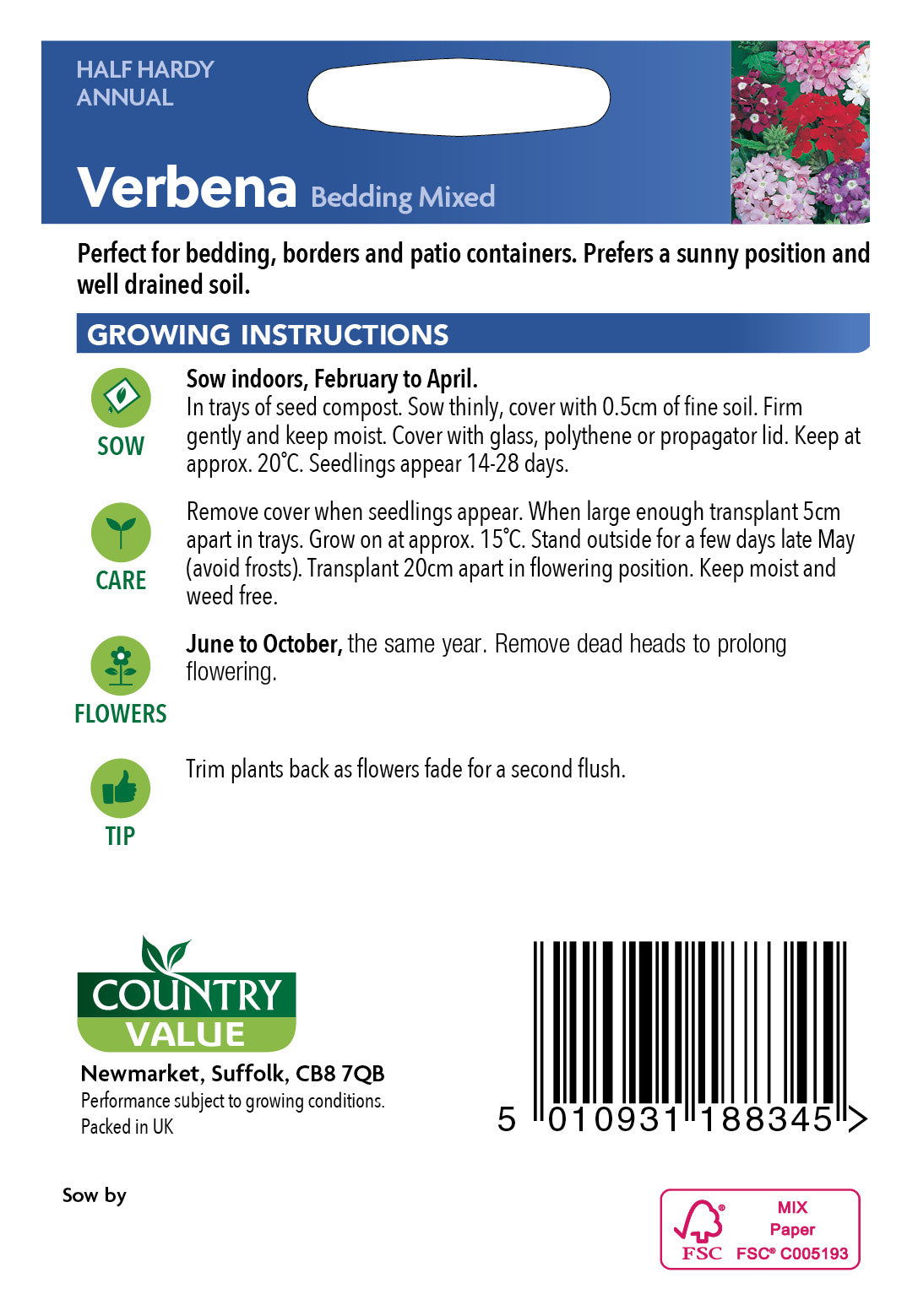 Verbena Bedding Mixed 100 Seeds