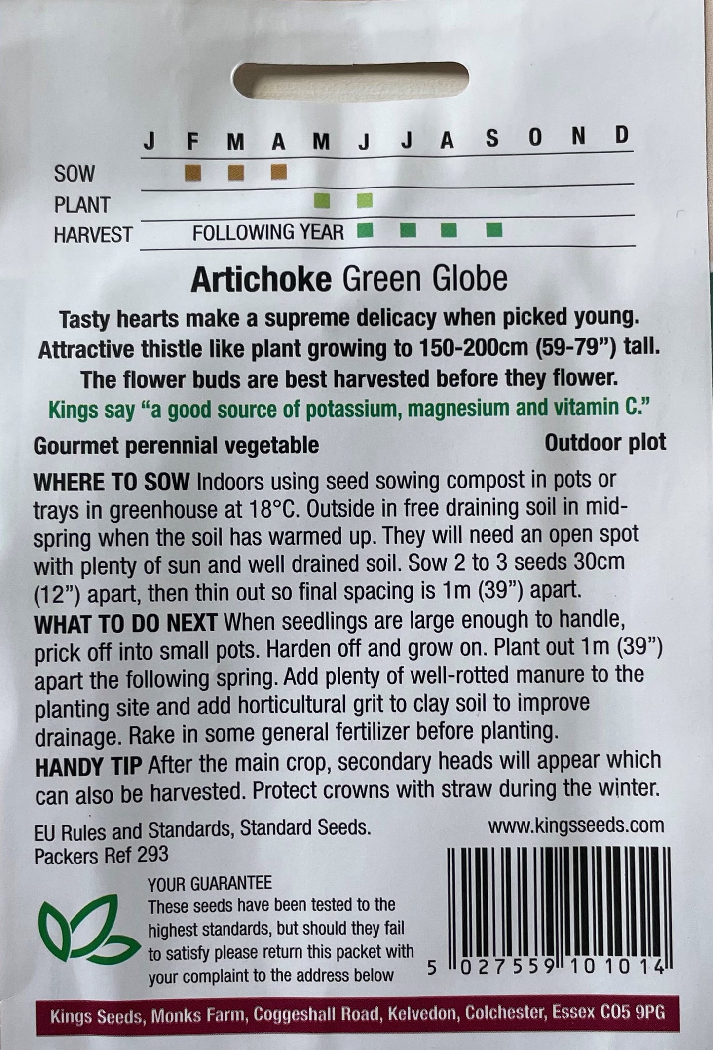 Artichoke Green Globe 40 Seeds