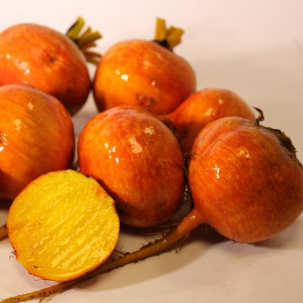 Beetroot Boldor F1 200 Seeds