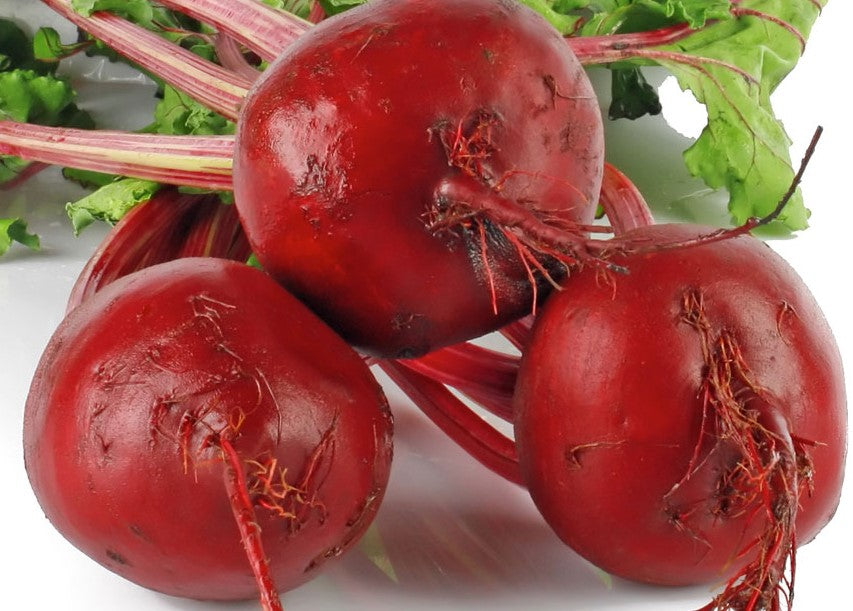 Beetroot Boltardy 275 Seeds