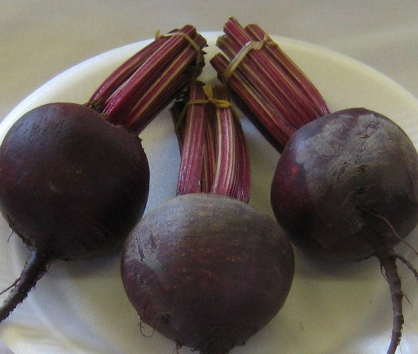 Beetroot Red Ace F1 200 Seeds