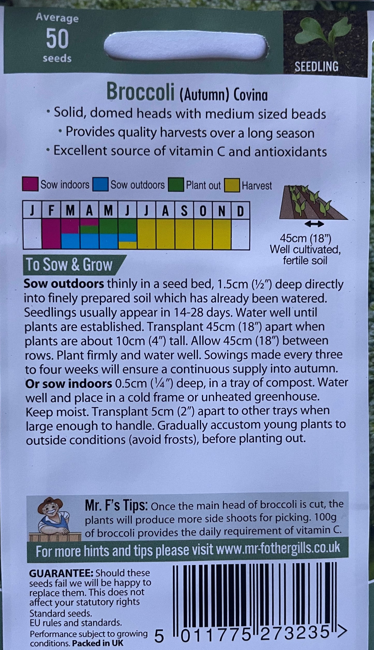 Broccoli Autumn Covina 50 Seeds