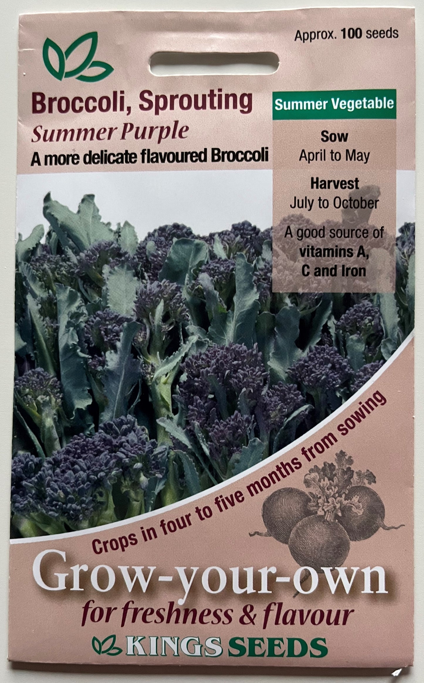 Broccoli Sprouting Summer Purple 100 Seeds